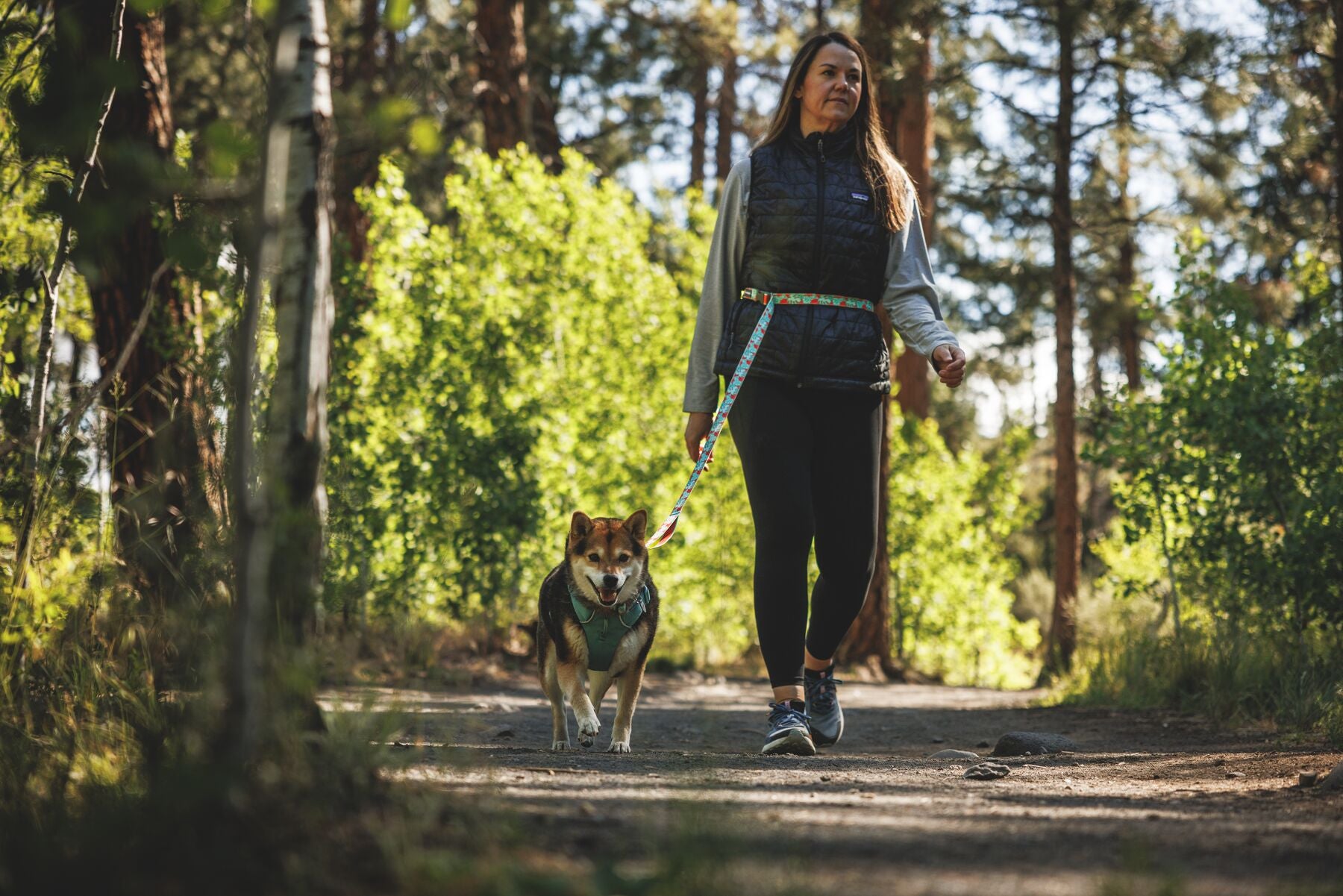 Ruffwear Crag reflective adjustable waist dog leash for hands-free walking, running, and hiking outdoors