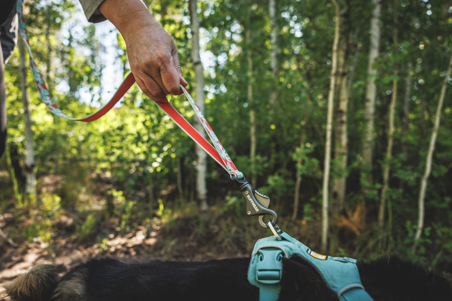 Ruffwear Crag reflective adjustable waist dog leash for hands-free walking, running, and hiking outdoors
