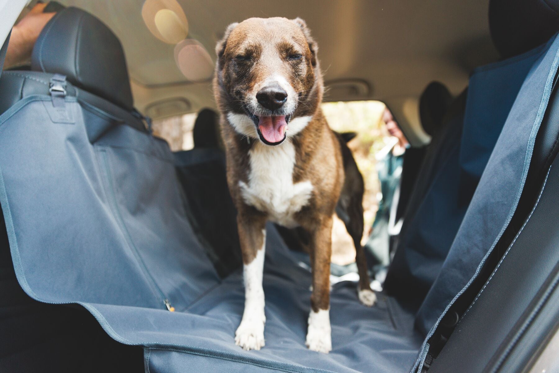 A dog relaxing comfortably on a waterproof, tear-resistant dog car hammock after an outdoor trip