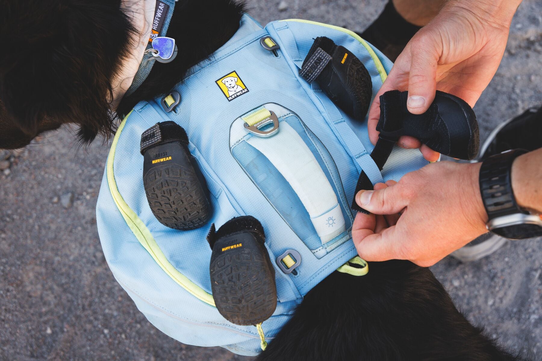 Ruffwear Dog boots: Ridegline PAIR