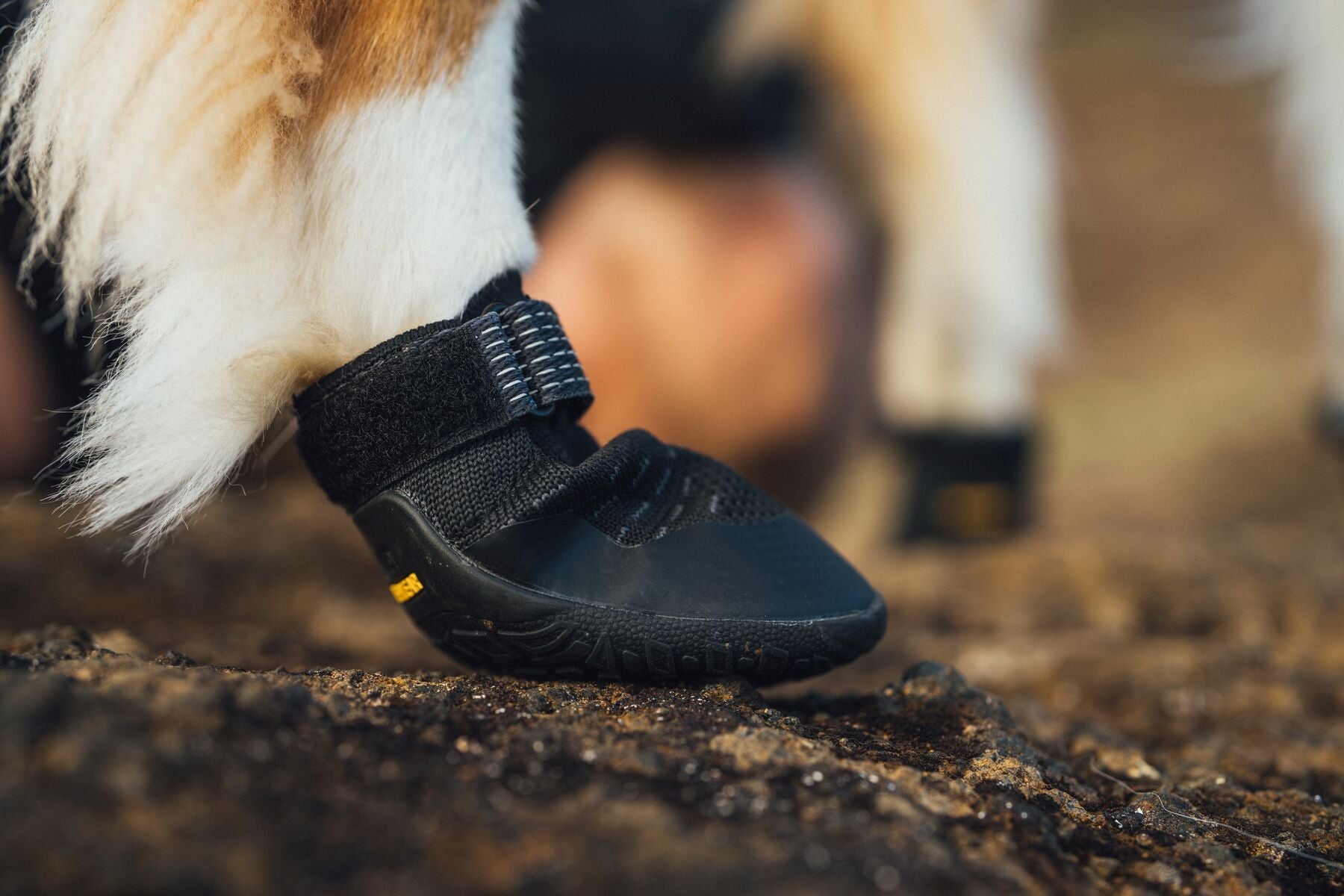 Ruffwear Dog boots: Ridegline PAIR