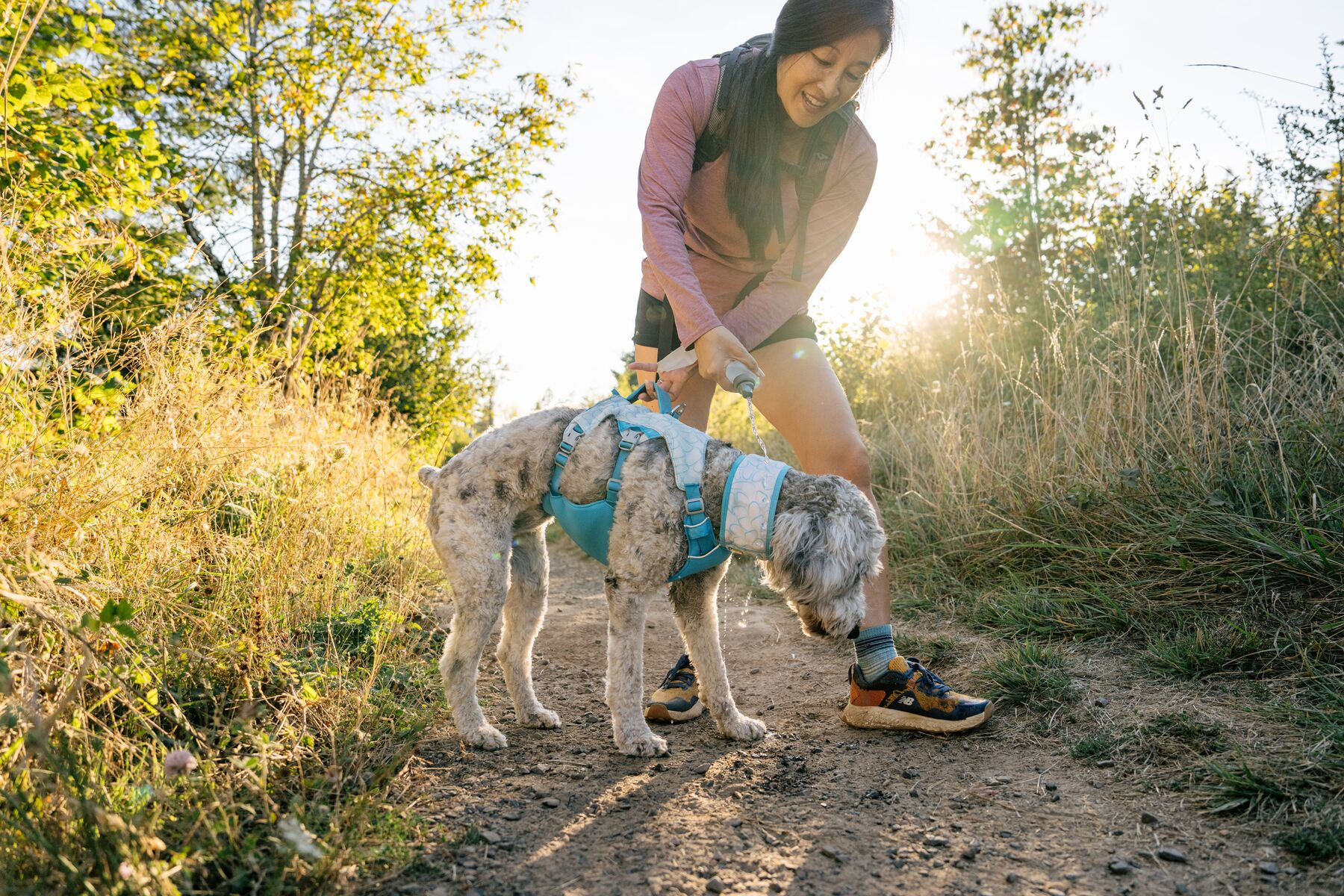 Ruffwear Dog Cooling Harness: Swamp Cooler (New Colours)