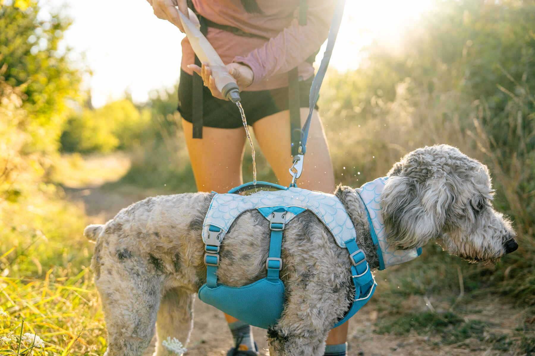Ruffwear Dog Cooling Harness: Swamp Cooler (New Colours)