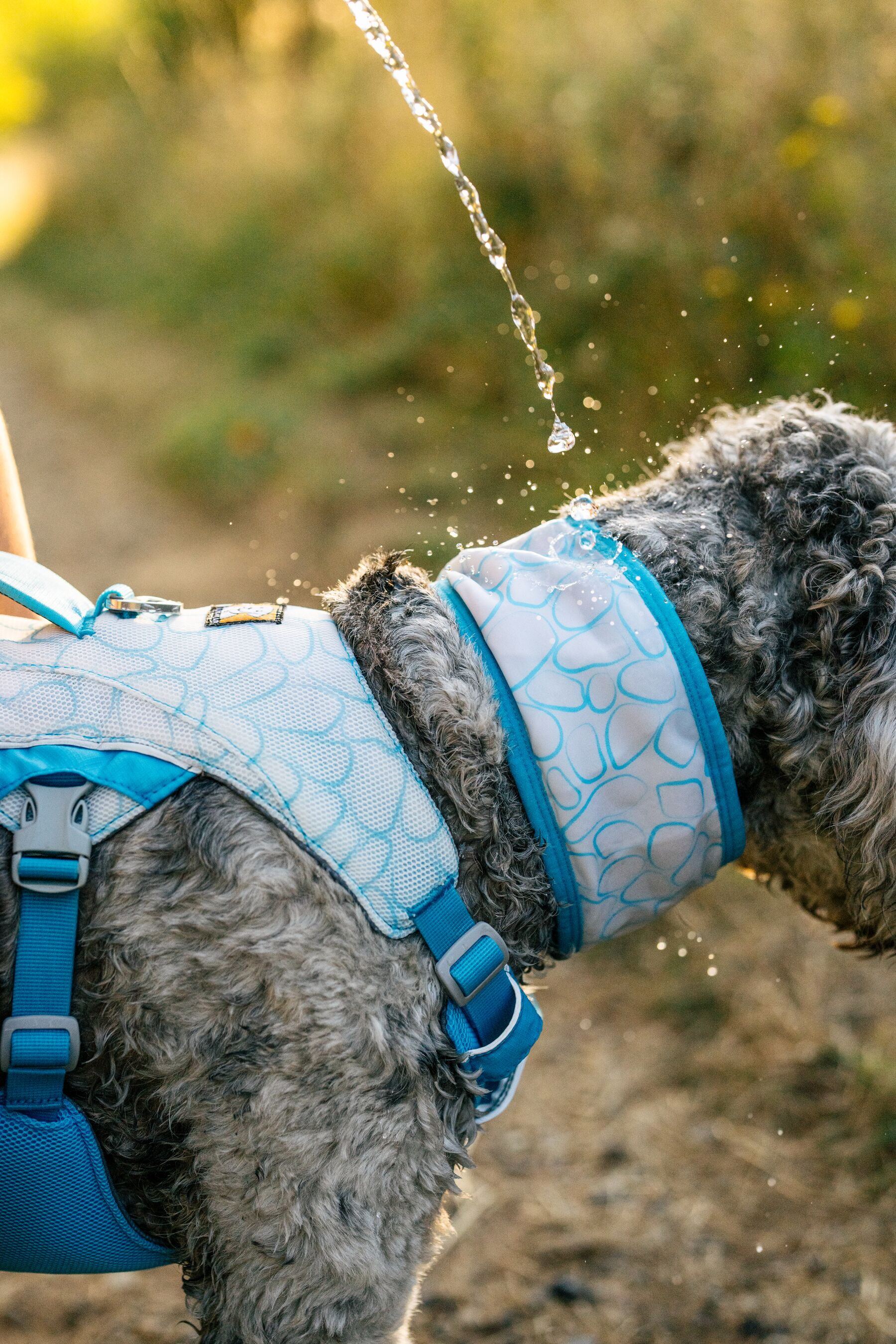 Ruffwear Dog Cooling Harness: Swamp Cooler (New Colours)