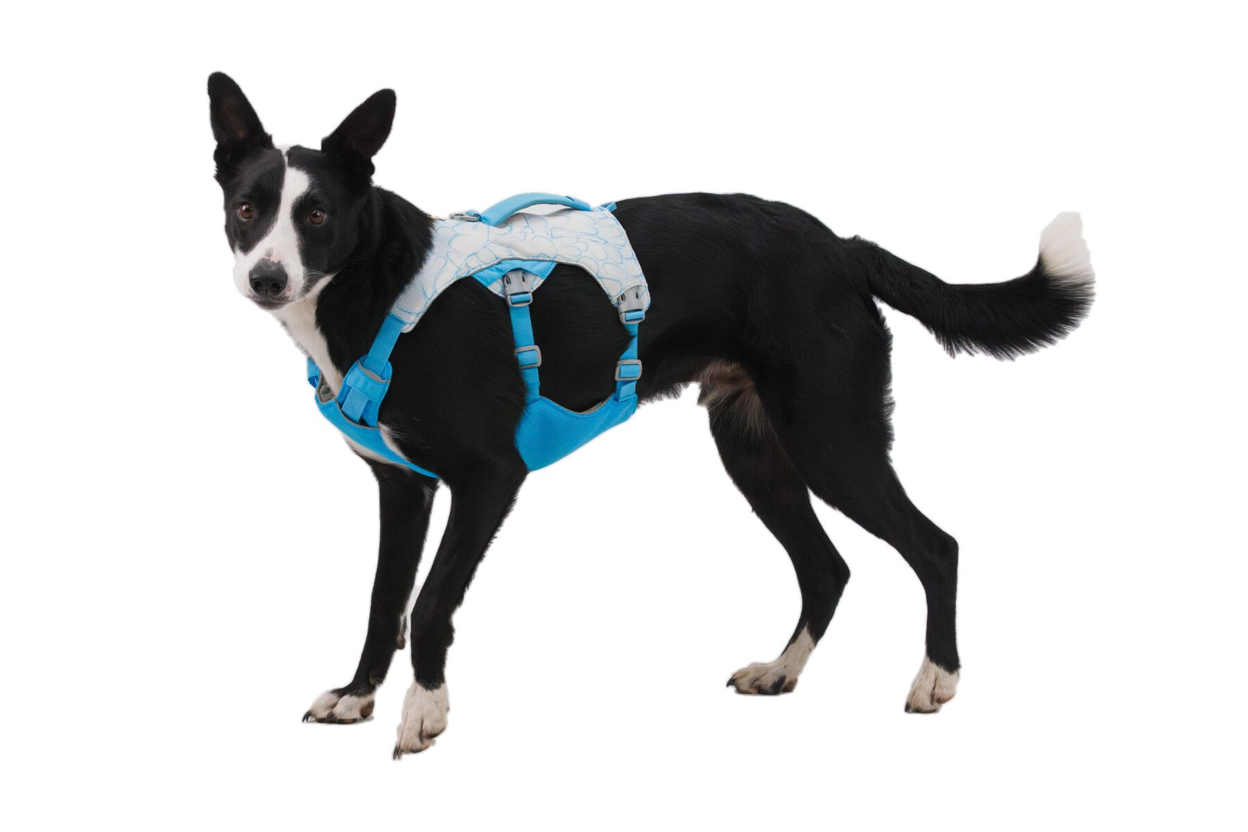 Ruffwear Dog Cooling Harness: Swamp Cooler (New Colours)