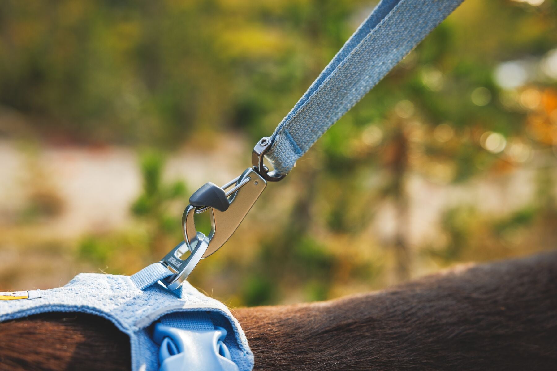 Ruffwear Dog Harness, Front Range Flex Harness
