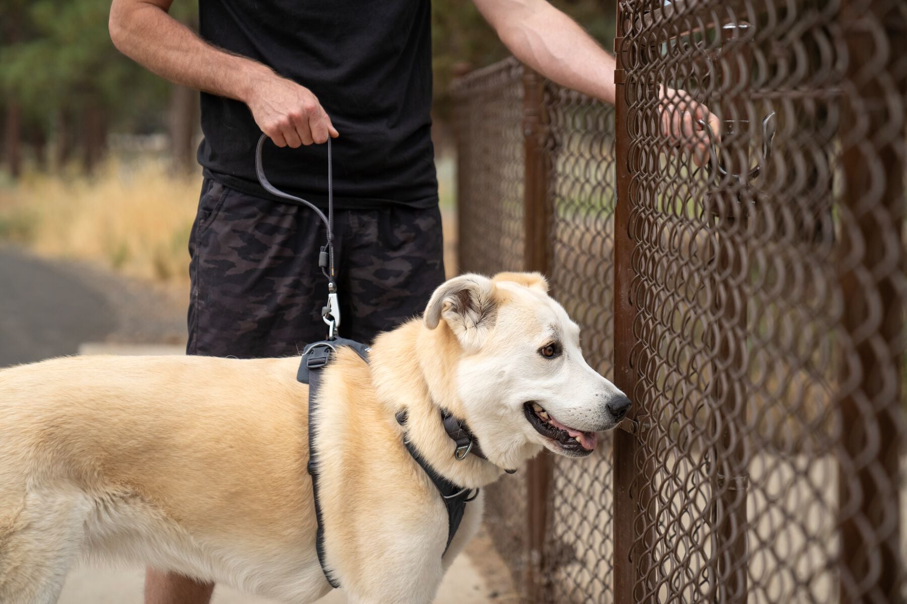 Ruffwear Front Range Short Lead in 15-inch length featuring a lockable Crux Clip and padded handle for close dog control.