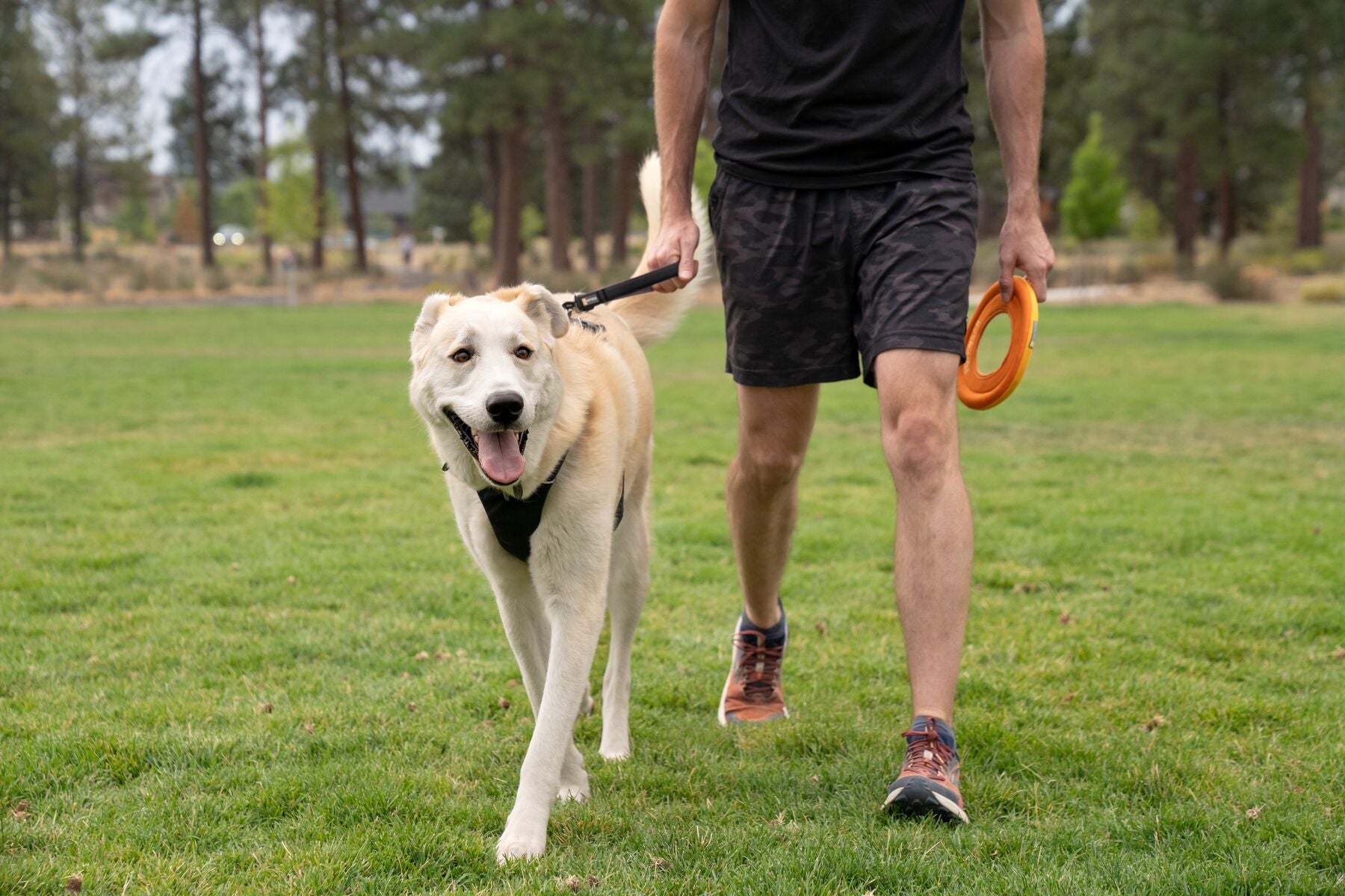 Ruffwear Front Range Short Lead in 15-inch length featuring a lockable Crux Clip and padded handle for close dog control.
