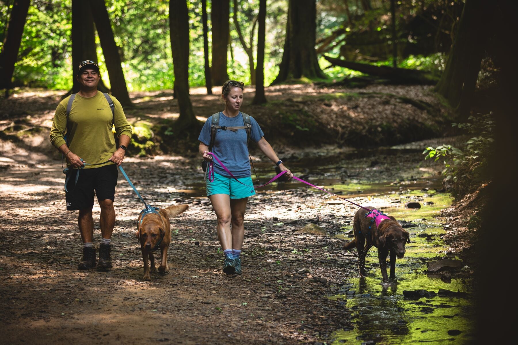 Ruffwear Lightweight Hands-free Dog Leash: Flagline