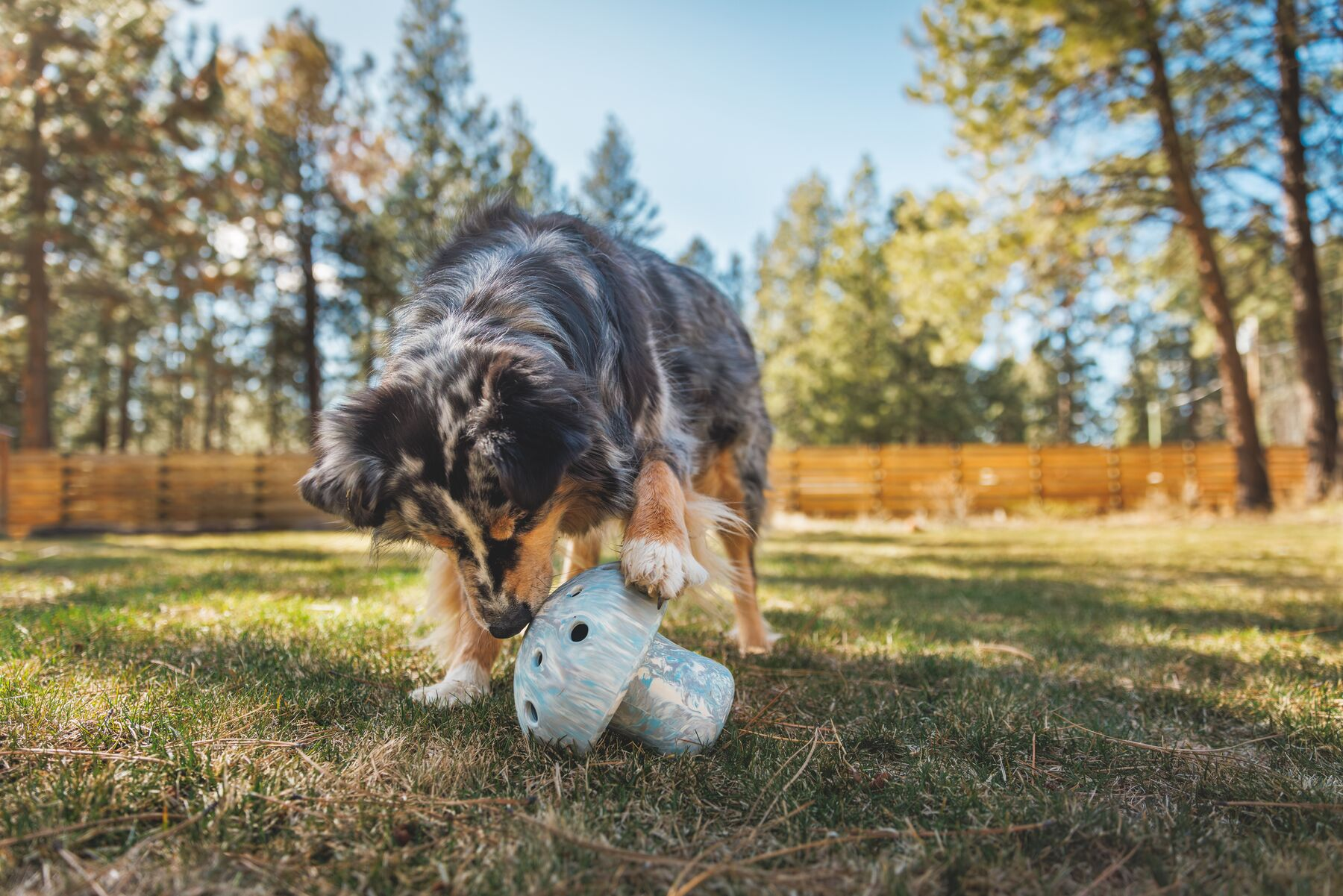 Ruffwear Porcini Dog Toy