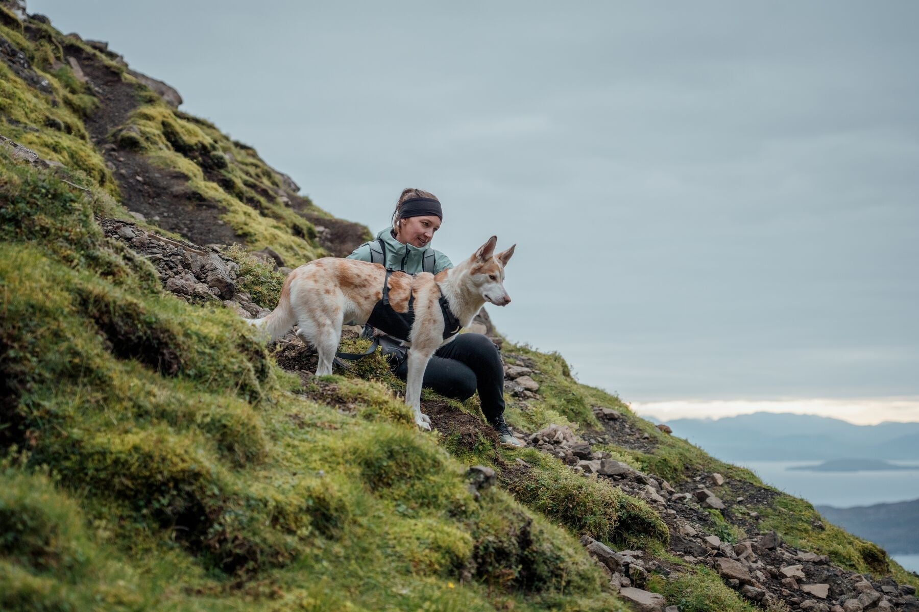 Ruffwear Ridgeline Harness in a streamlined, waterproof X-Pac laminate shell for active dogs.