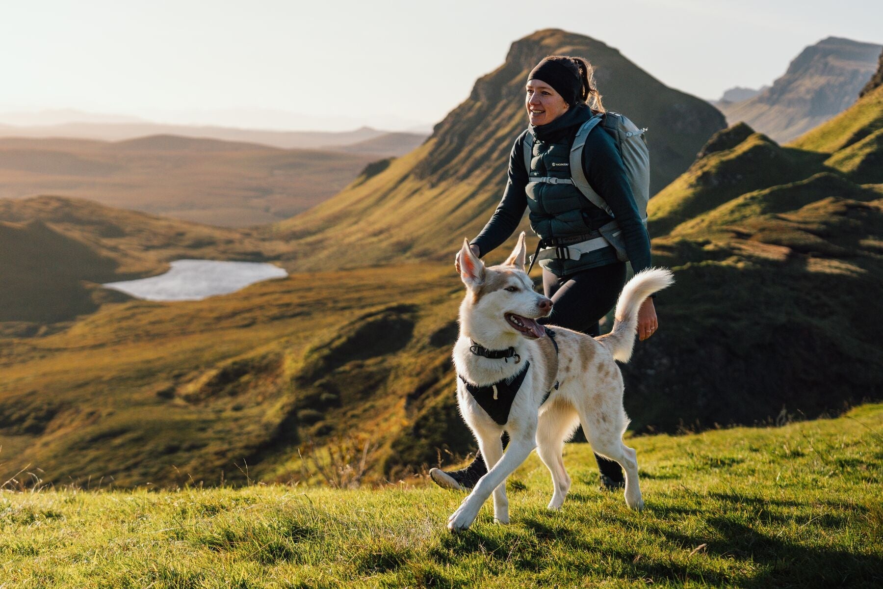 Ruffwear Ridgeline Harness in a streamlined, waterproof X-Pac laminate shell for active dogs.