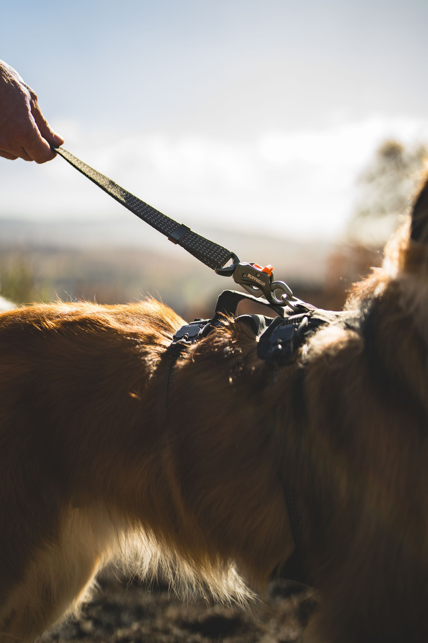 Ruffwear Reflective Hands-Free Dog Leash: Ridgeline