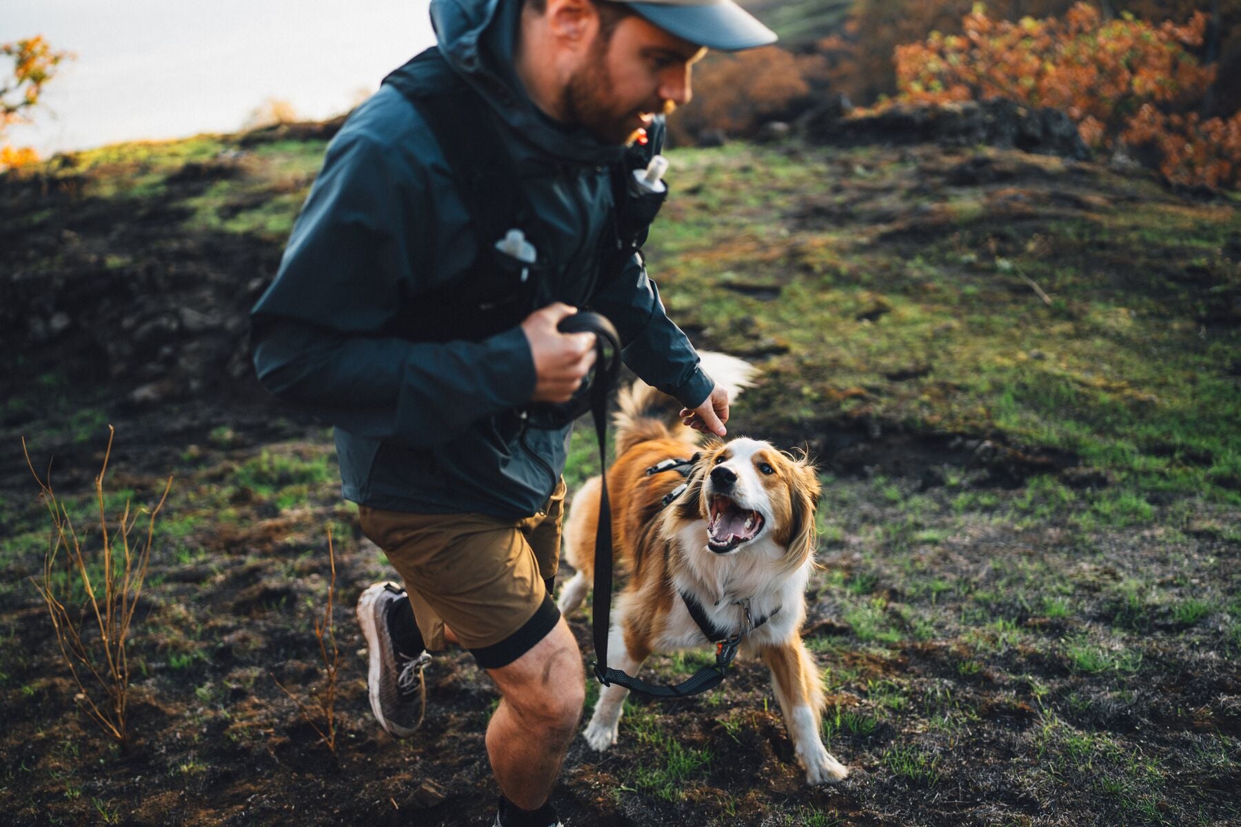 Ruffwear Reflective Hands-Free Dog Leash: Ridgeline