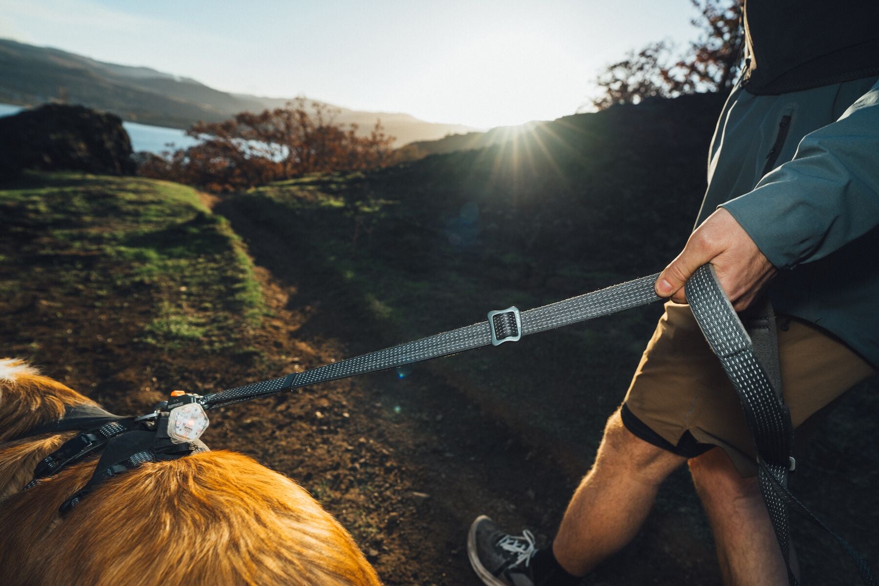 Ruffwear Reflective Hands-Free Dog Leash: Ridgeline