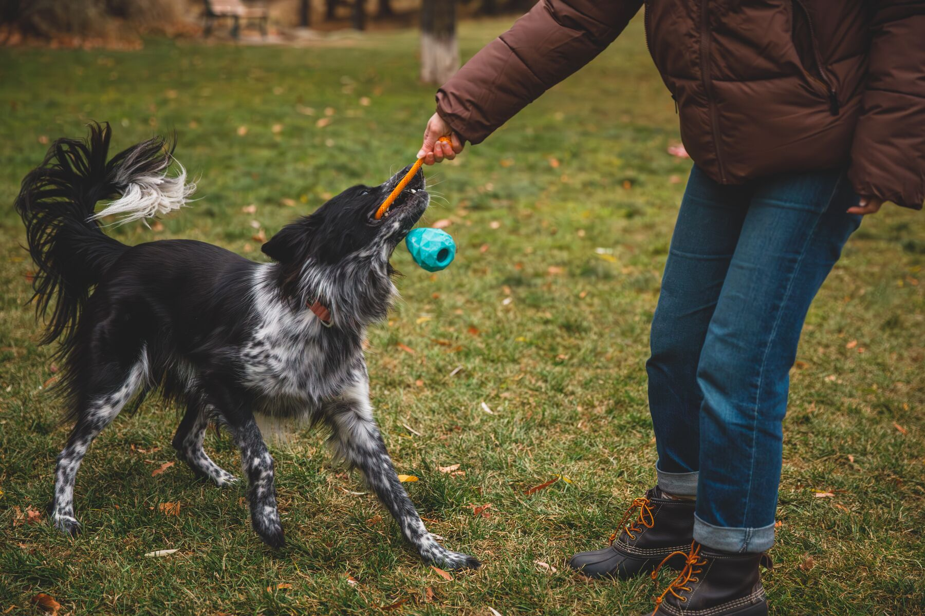 Ruffwear Rubber Tug Dog Toy: Huck-a-Cone