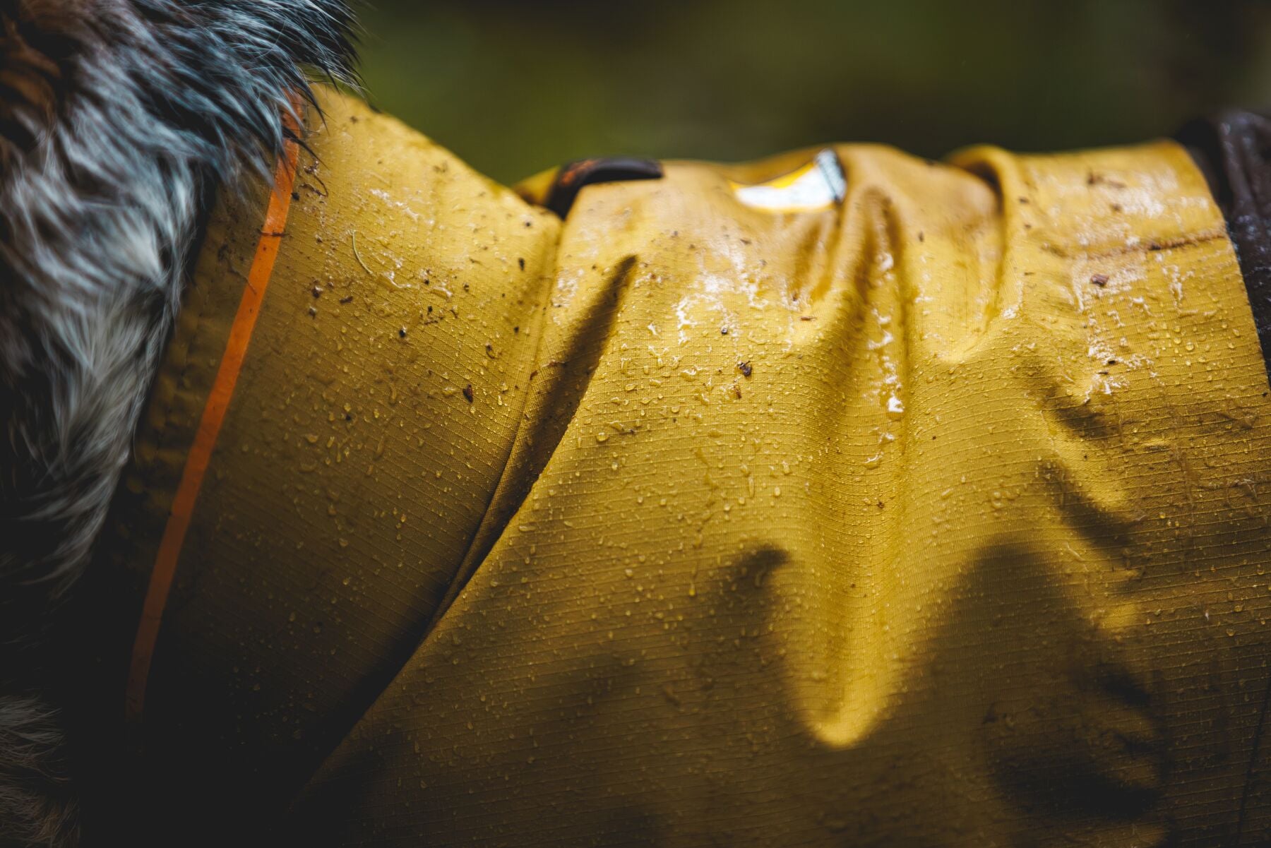 Ruffwear Dog Rain Coat: Sun Shower Jacket