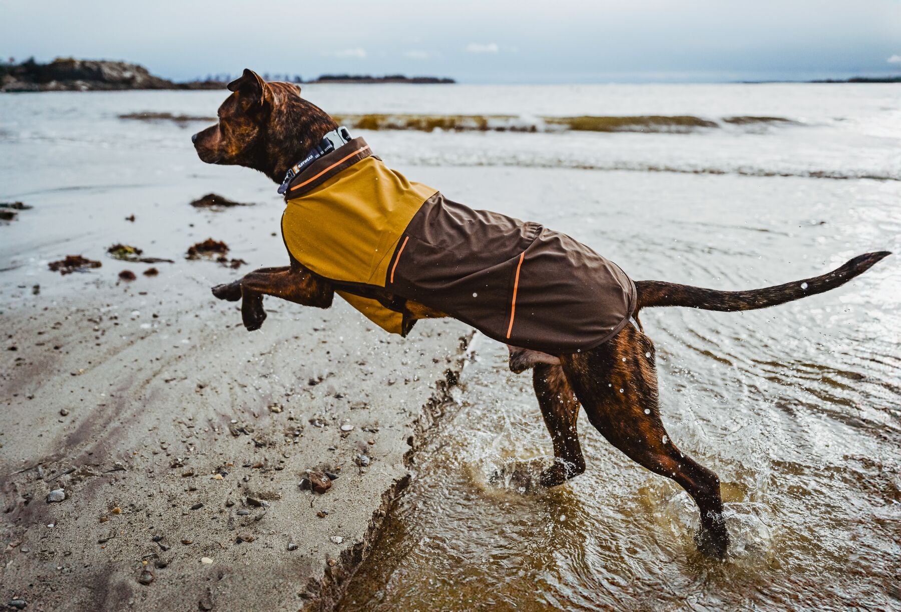 Ruffwear Dog Rain Coat: Sun Shower Jacket