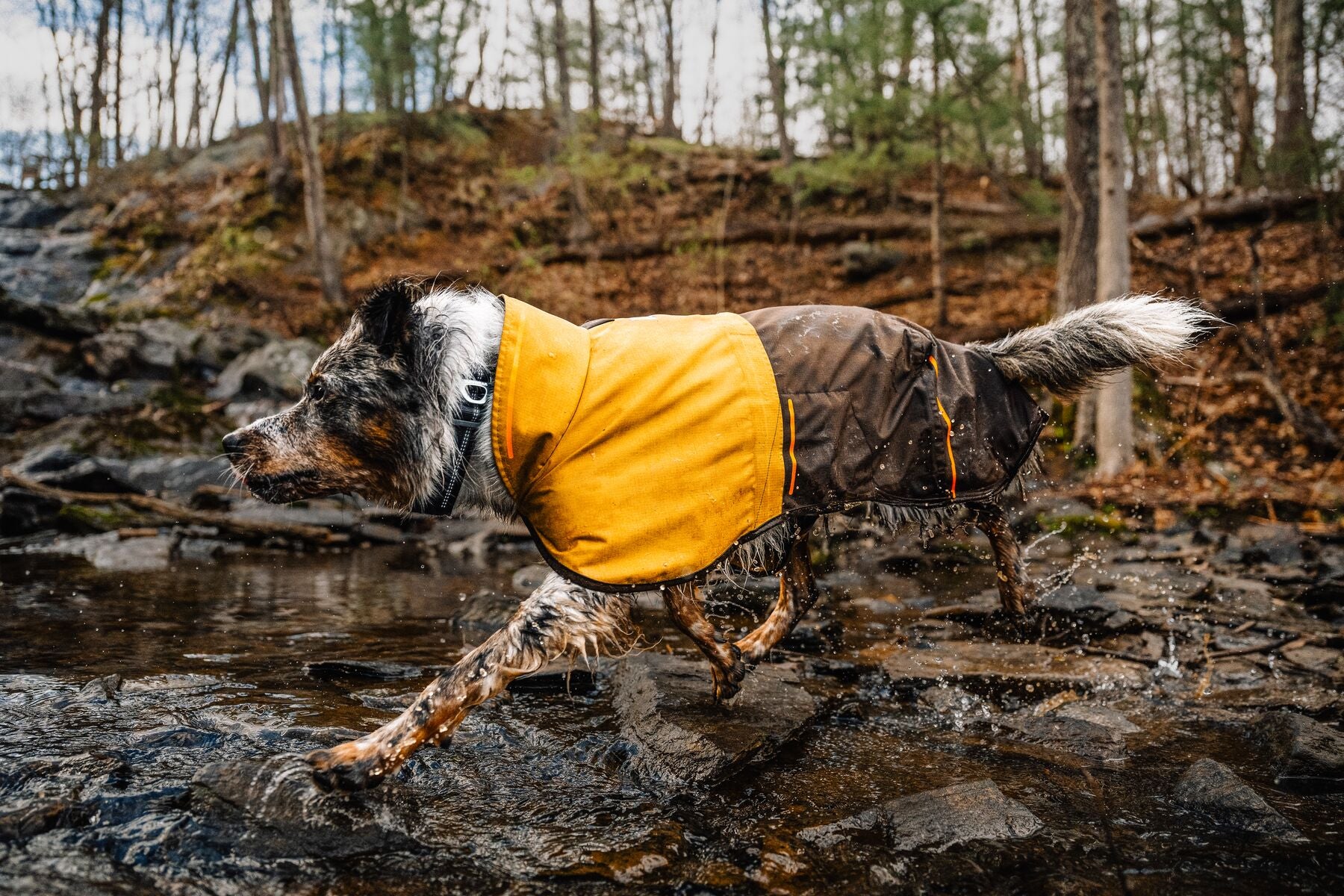 Ruffwear Dog Rain Coat: Sun Shower Jacket