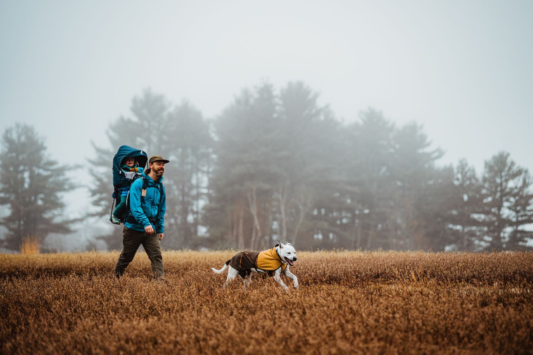 Ruffwear Dog Rain Coat: Sun Shower Jacket