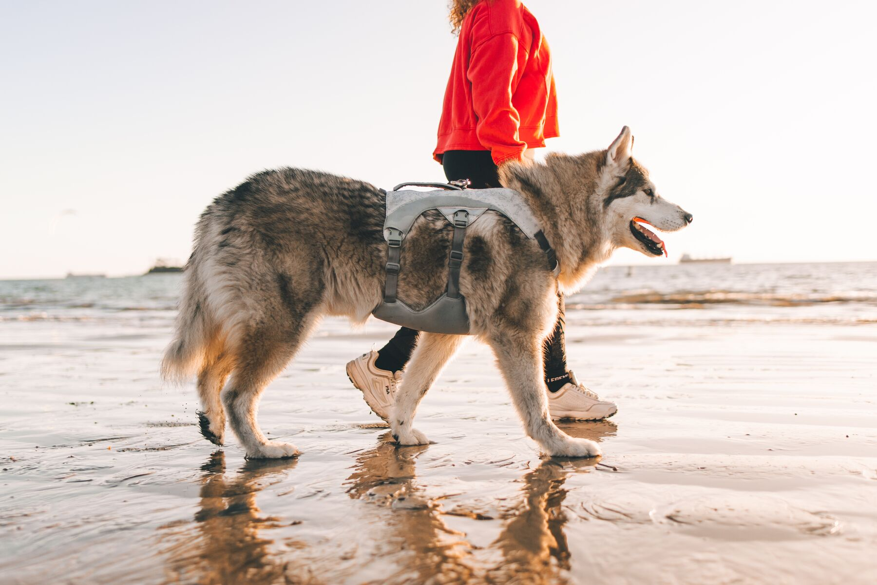 Ruffwear Dog Cooling Harness: Swamp Cooler (New Colours)