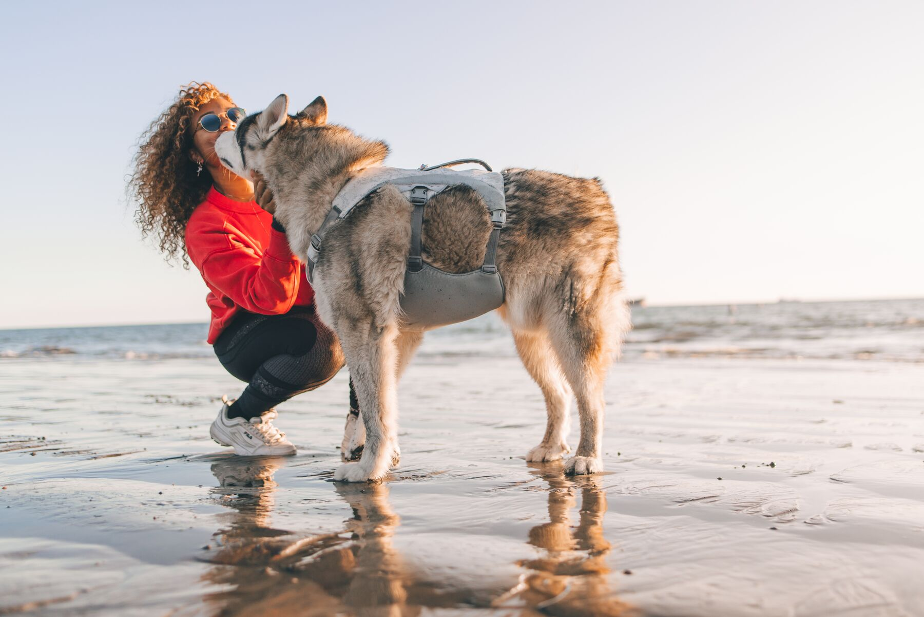 Ruffwear Dog Cooling Harness: Swamp Cooler (New Colours)