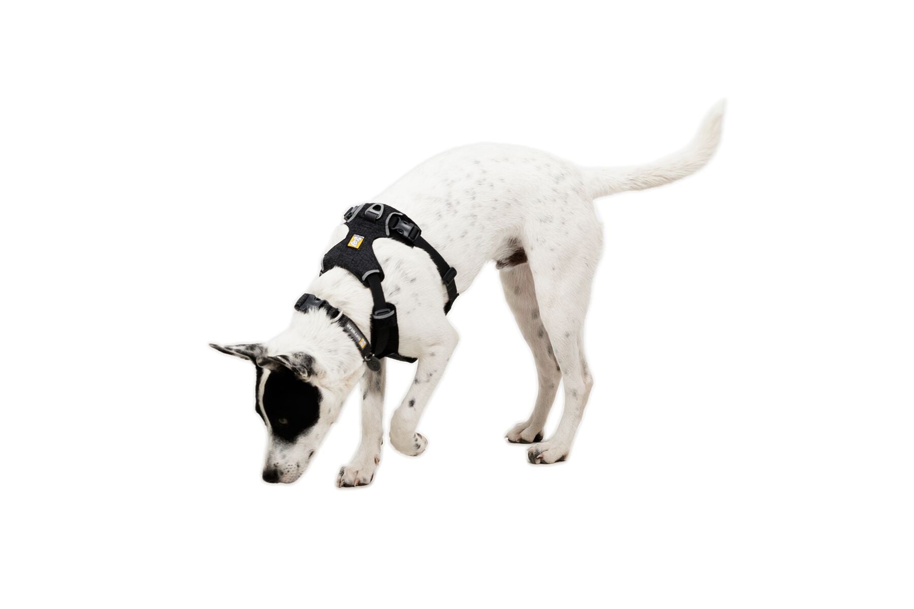 Ruffwear Dog Harness, Front Range Flex Harness