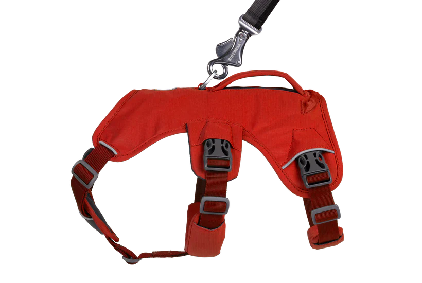 Ruffwear Dog Harness, Web Master (New Colours)
