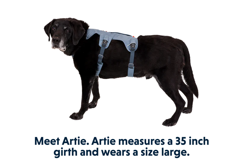 Ruffwear Dog Harness, Web Master (New Colours)