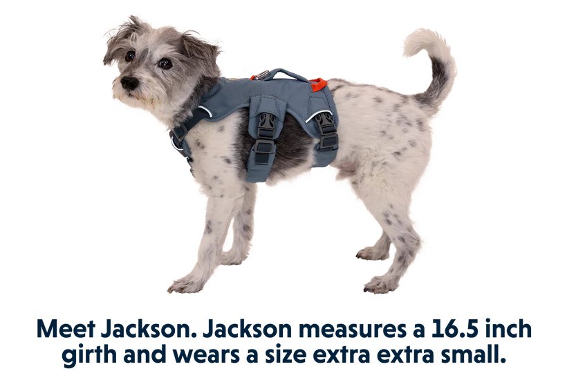Ruffwear Dog Harness, Web Master (New Colours)