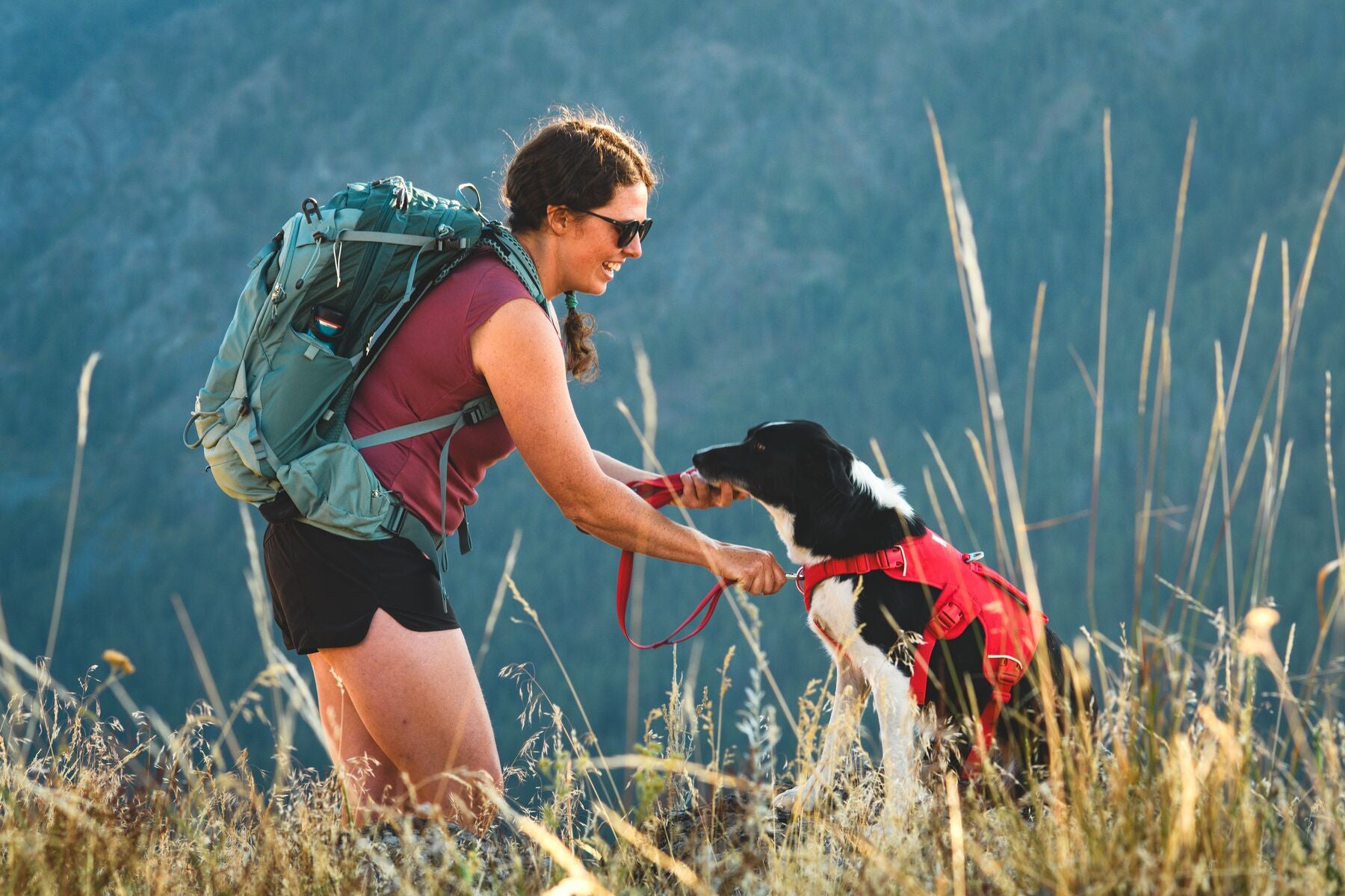 Ruffwear Dog Harness with Neck Buckle and Handle: Web Master