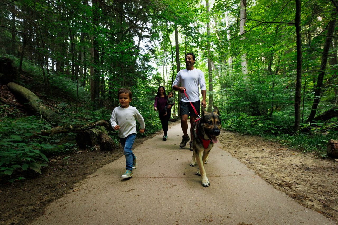 Ruffwear Dog No-Pull Harness, Front Range (new colours)