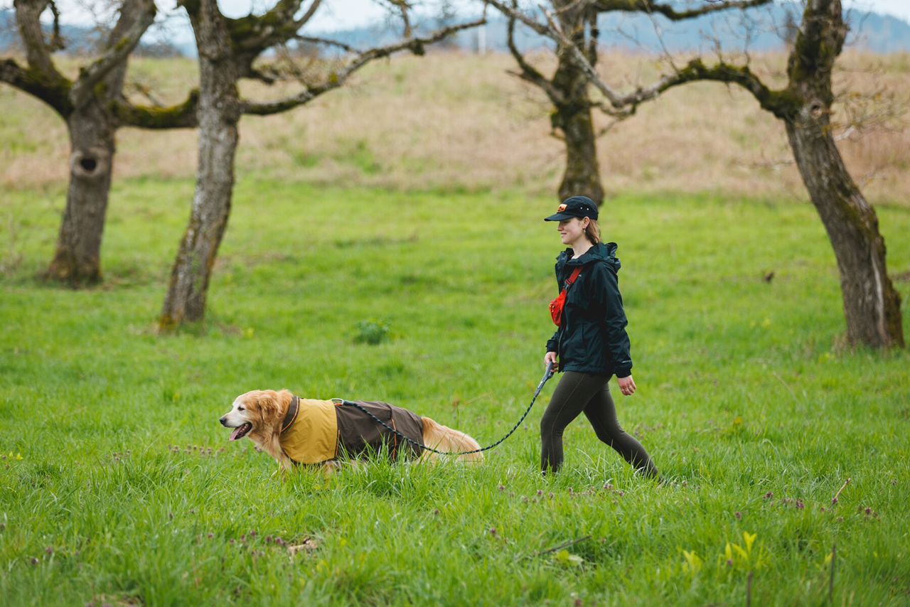 Ruffwear Dog Rope Leash, Knot-a-Leash
