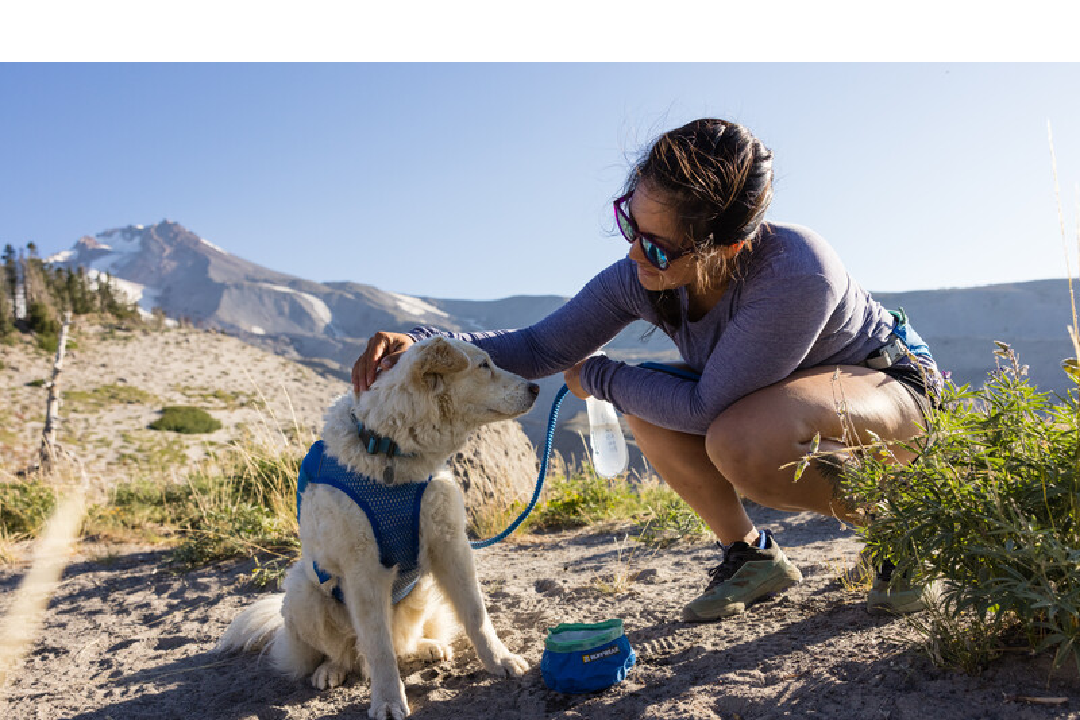 Ruffwear Dog Running Vest, Trail Runner