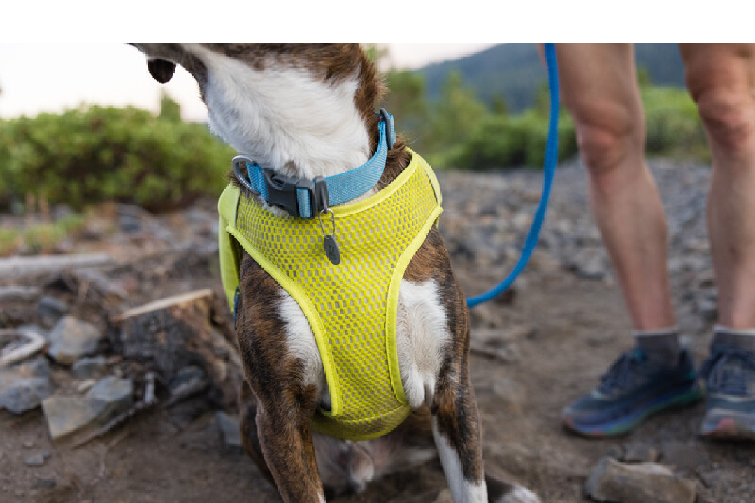 Ruffwear Dog Running Vest, Trail Runner