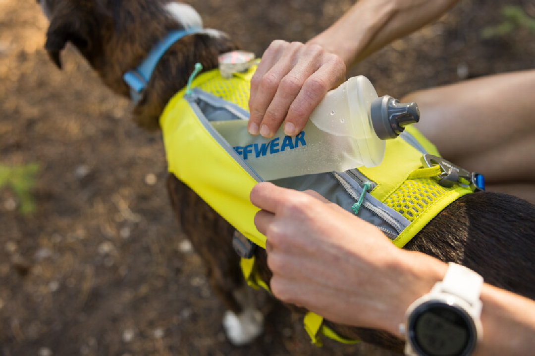 Ruffwear Dog Running Vest, Trail Runner