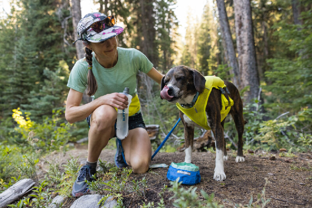 Ruffwear Dog Running Vest, Trail Runner
