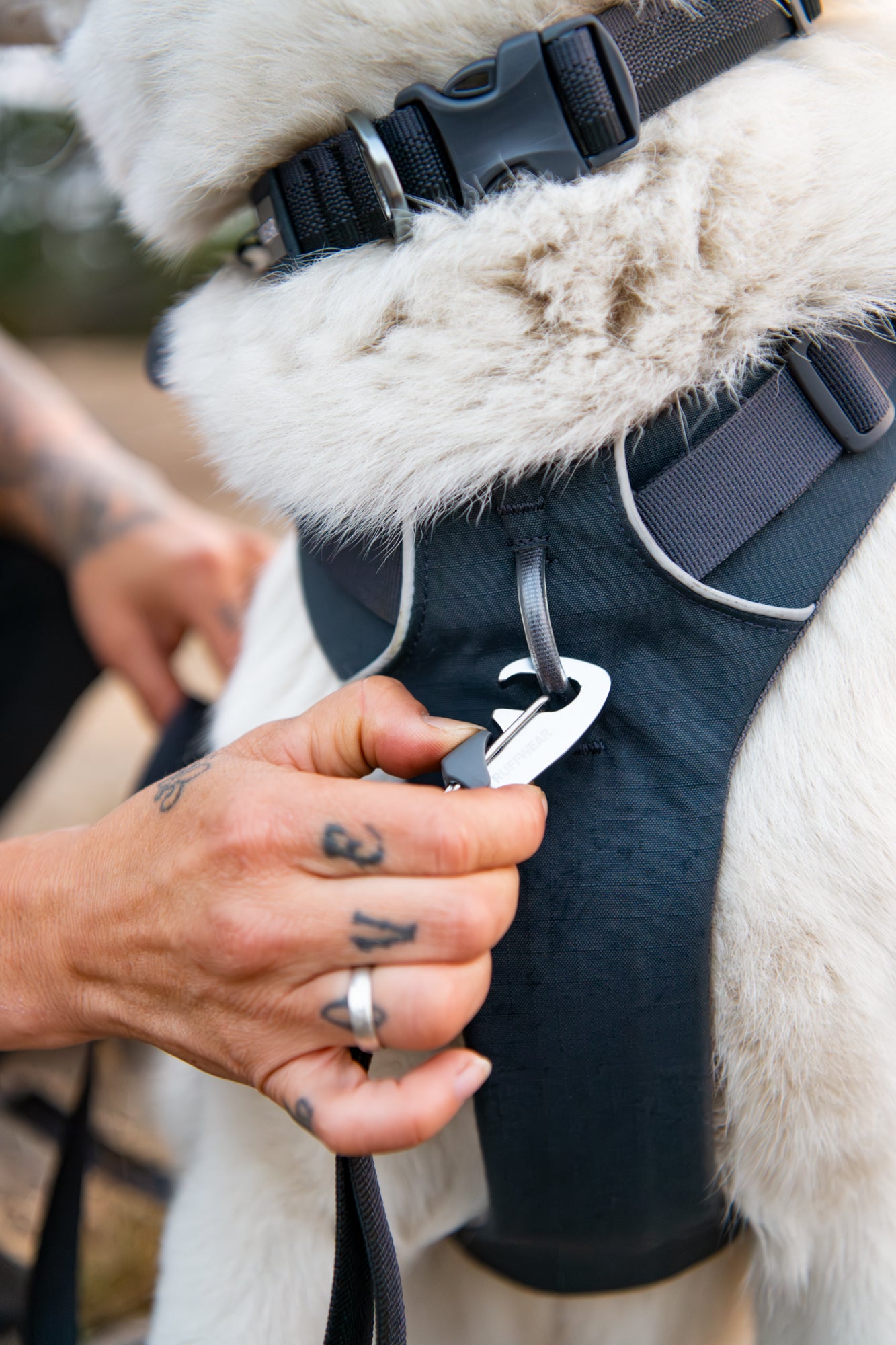 Premium Ruffwear Front Range everyday dog collar made from eco-friendly, colour-fast recycled webbing.