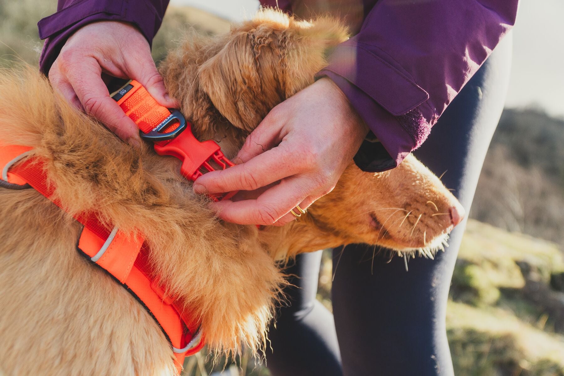 Premium Ruffwear Front Range everyday dog collar made from eco-friendly, colour-fast recycled webbing.