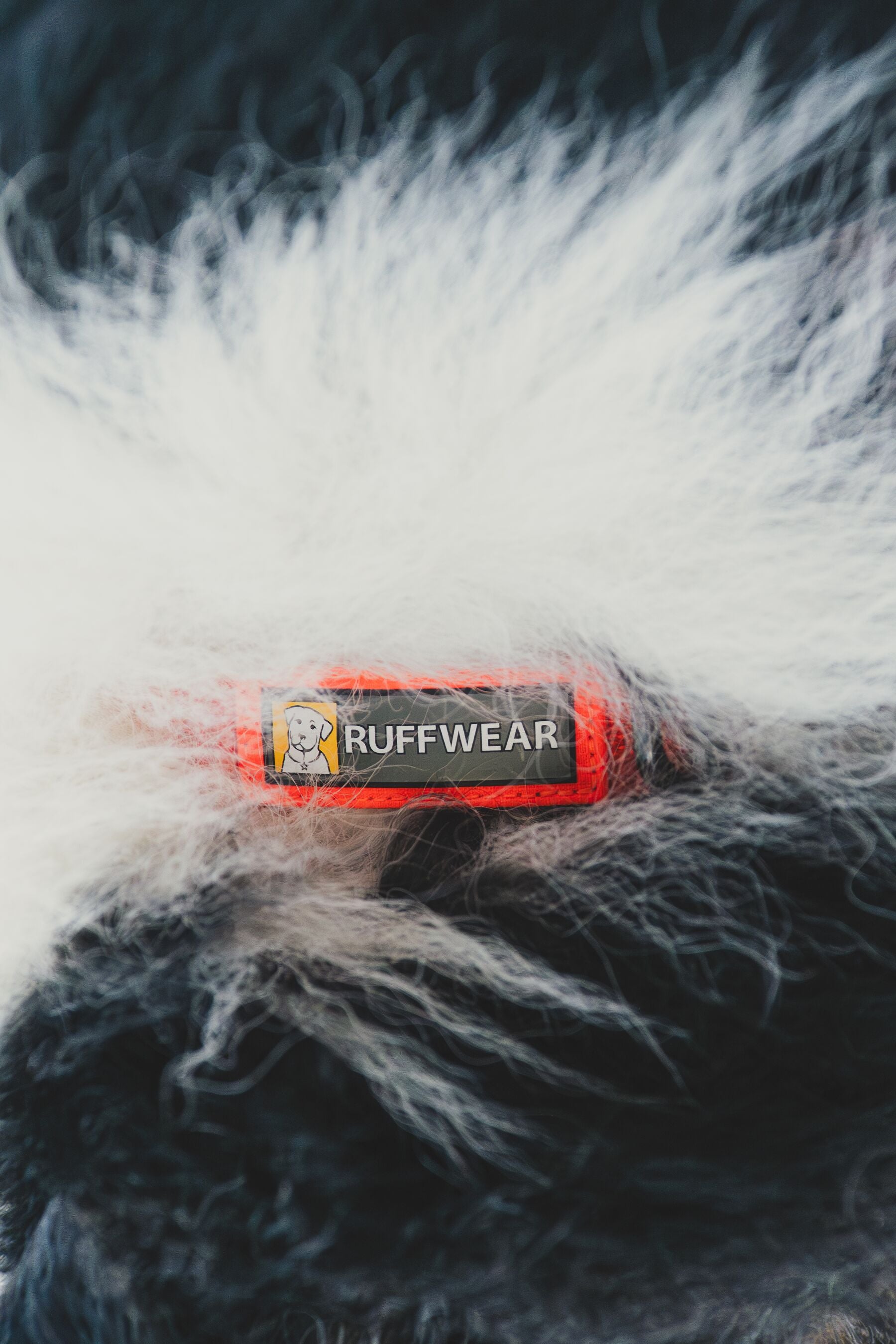 Premium Ruffwear Front Range everyday dog collar made from eco-friendly, colour-fast recycled webbing.