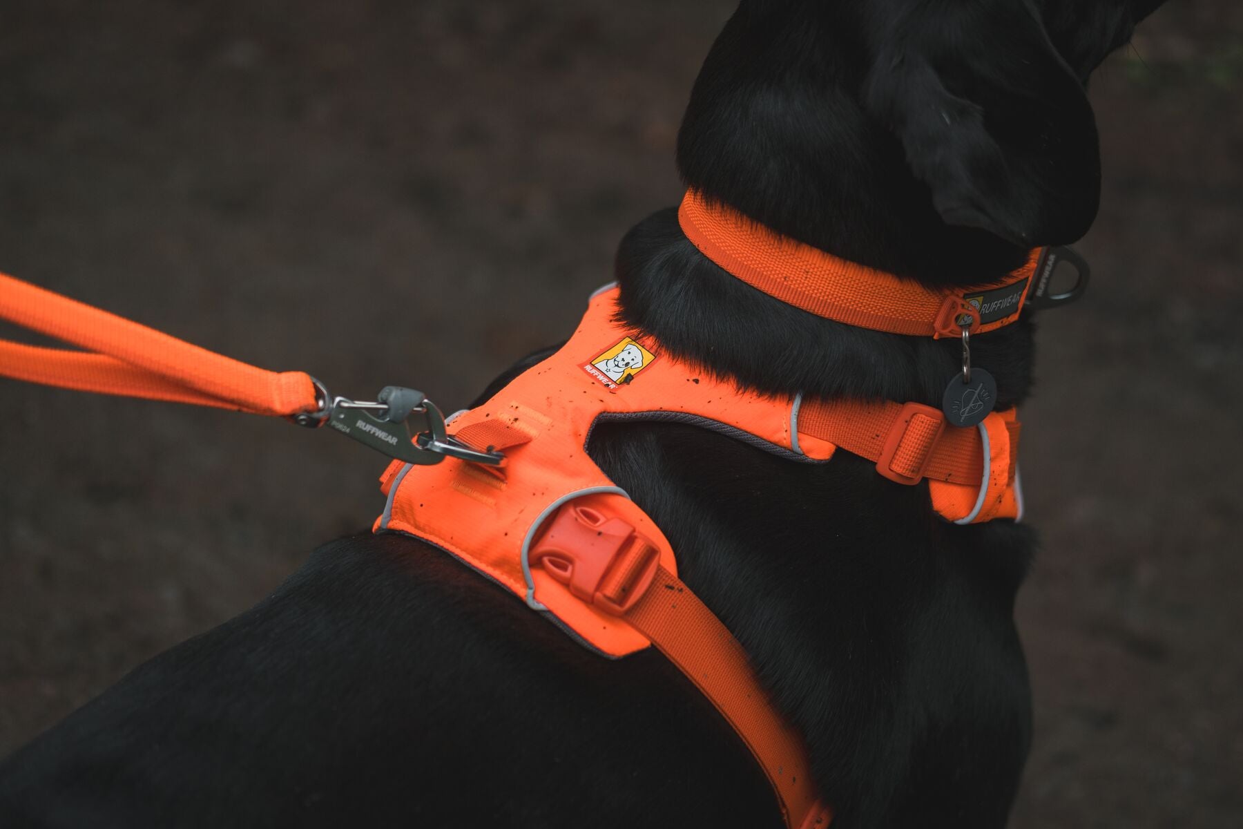 Premium Ruffwear Front Range everyday dog collar made from eco-friendly, colour-fast recycled webbing.