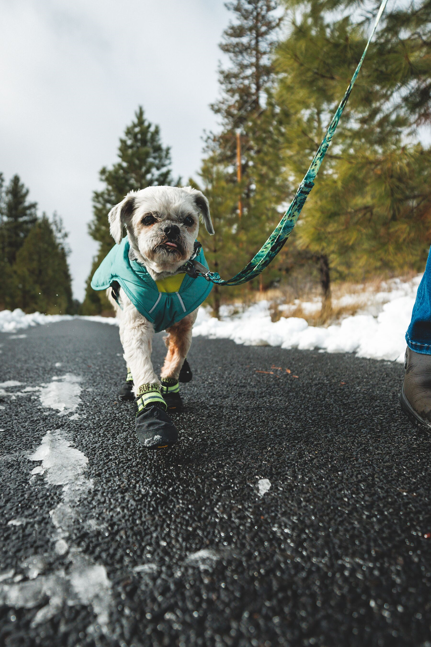 Ruffwear Front Range: Dog Leash