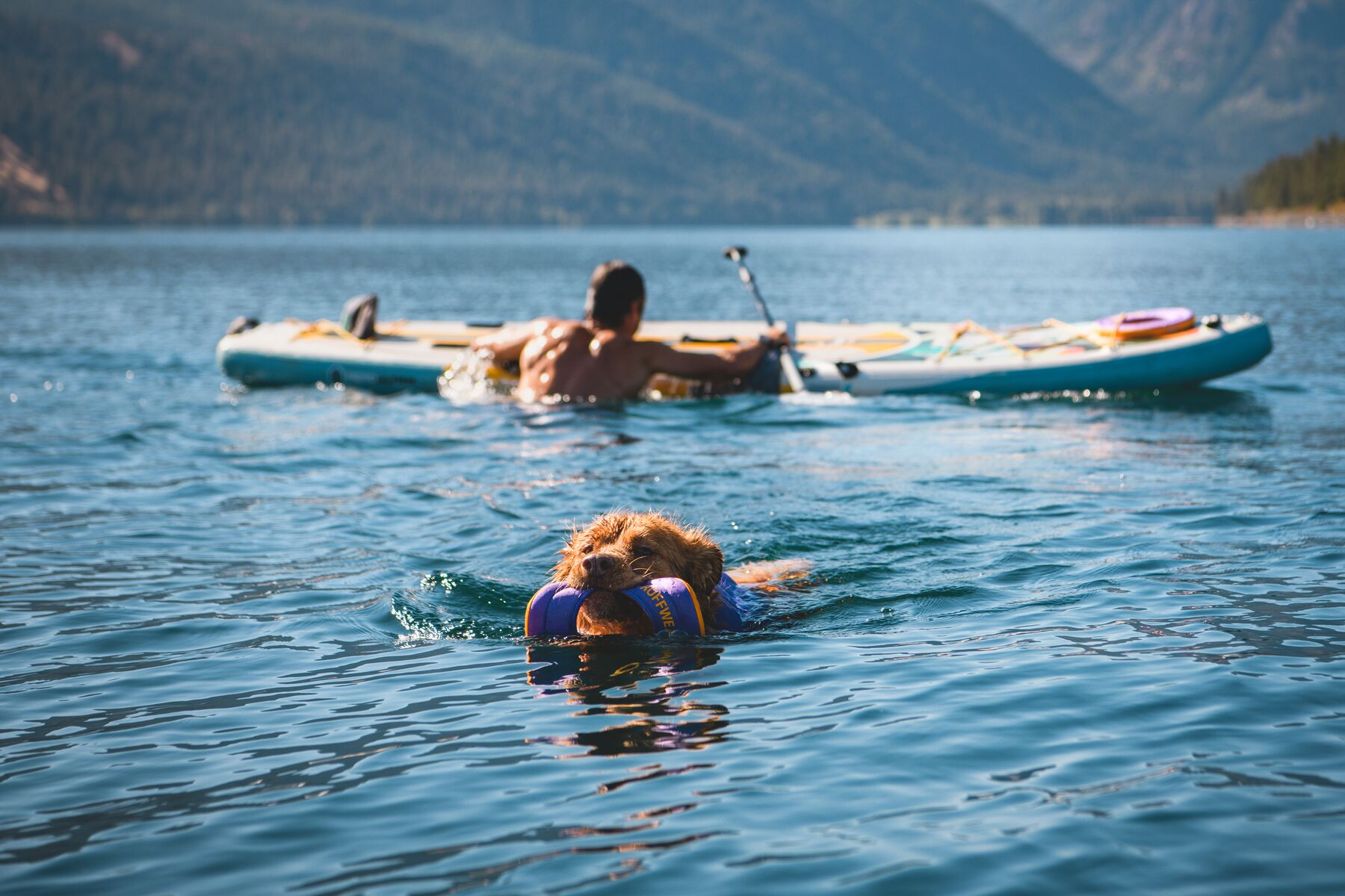 Ruffwear Hydro Plane Floating Throw Dog Toy (New Colours)