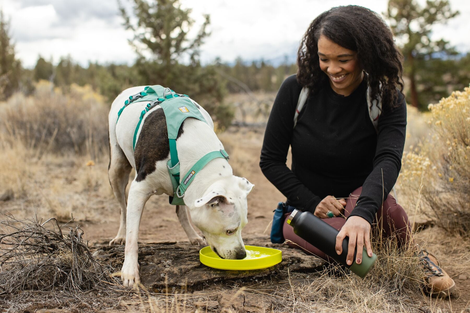 The ultralight Ruffwear Hi & Light minimalist dog collar showing its strong side-release buckle and aluminum D-ring