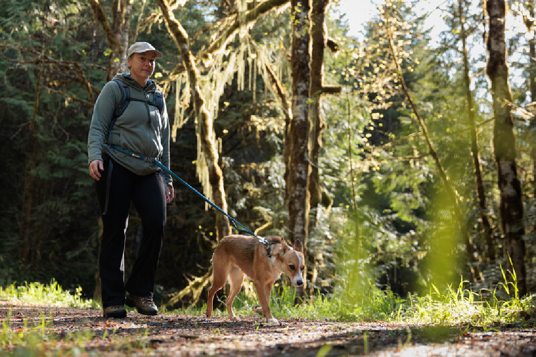 Ruffwear Roamer Bungee Dog Leash