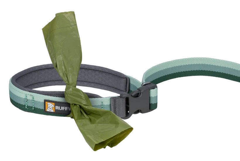 Ruffwear Roamer Bungee Dog Leash