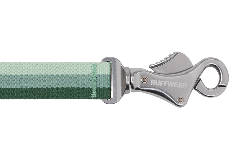 Ruffwear Roamer Bungee Dog Leash