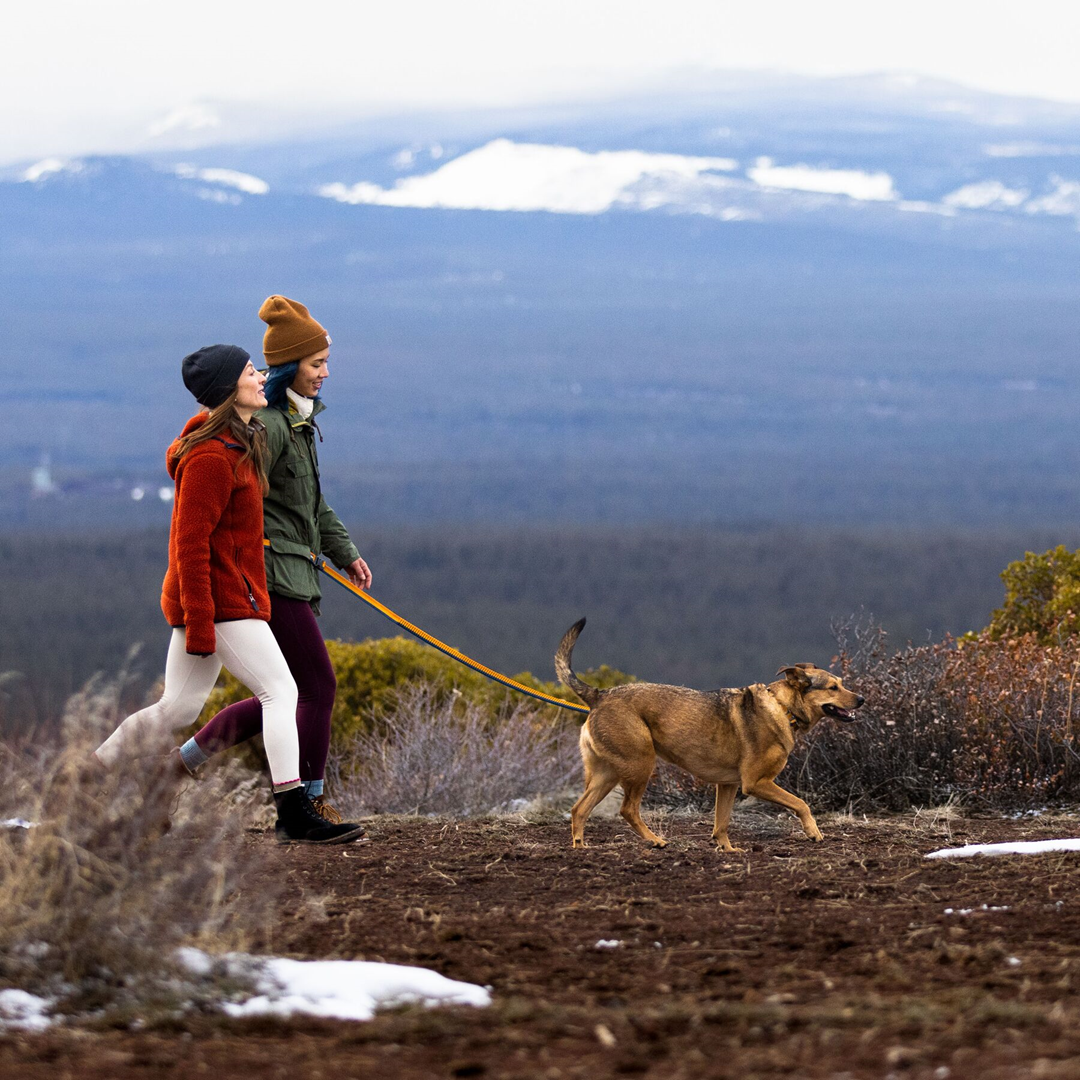 Ruffwear Roamer Bungee Dog Leash