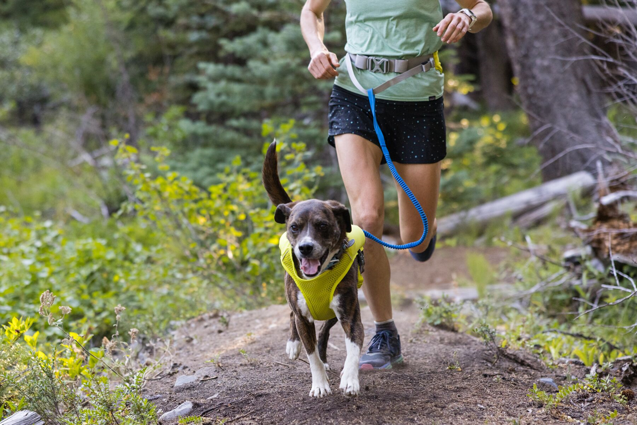 Ruffwear Adjustable Running Belt, Trail Runner