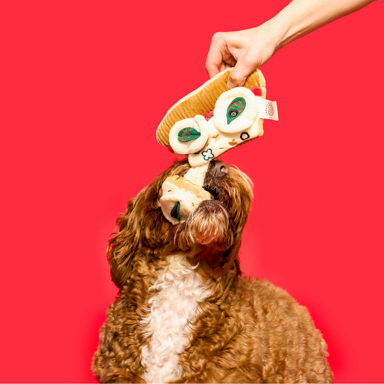 Squeaky Interactive Nosework Dog Toy, Pizza